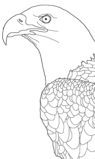 eagle coloring pages to print out - photo #50
