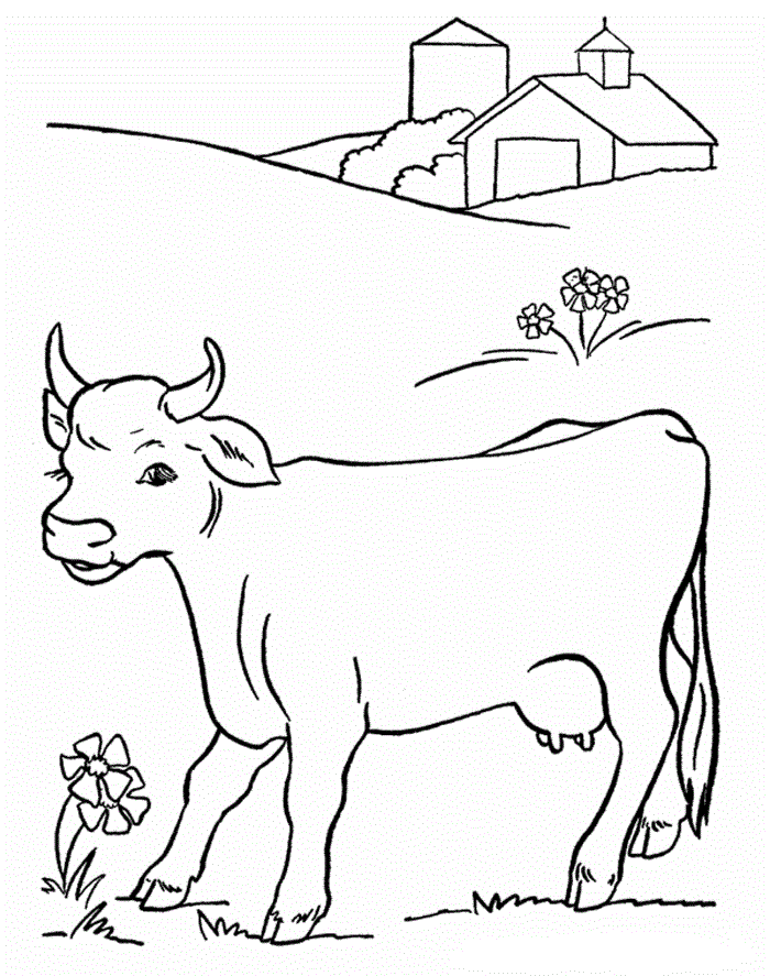 cows and calves printable coloring page