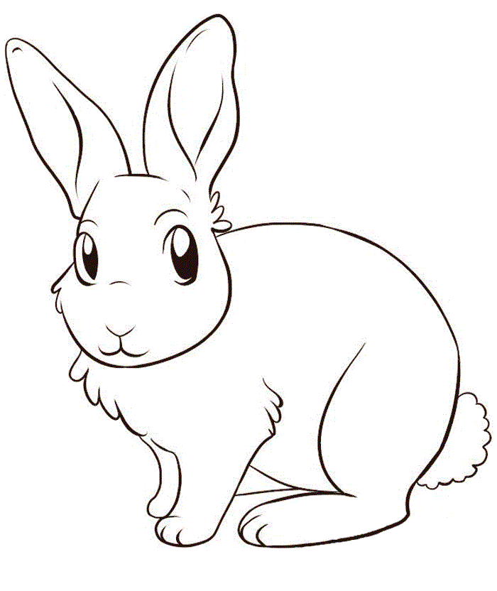 rabbits coloring page