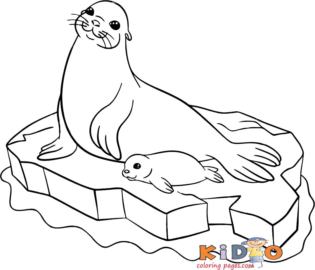 Seal Colouring Pages For Kids Print Out Kids Coloring Pages